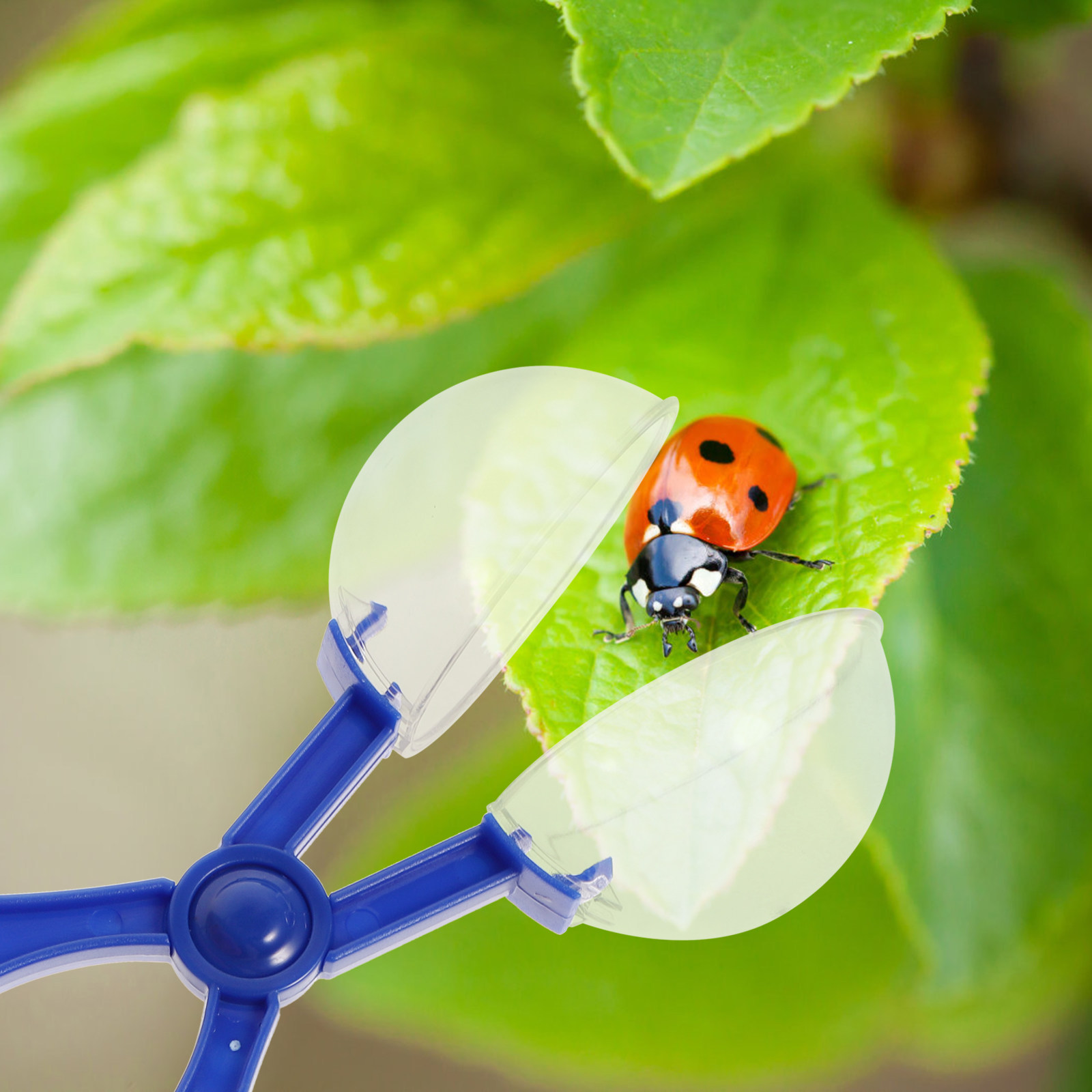 8Pcs Insect Catcher Scissors K - đánh giá và giá Kids Outdoor Nature Toys
