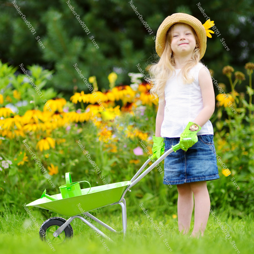 Kids Outdoor Wheelbarrow, Gree - đánh giá và giá Kids Outdoor Garden Toys