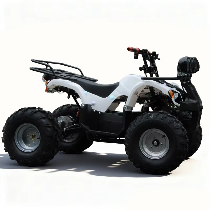 750W 48V Kids Electric ATV Qua - đánh giá và giá Kids Outdoor Electric Quad
