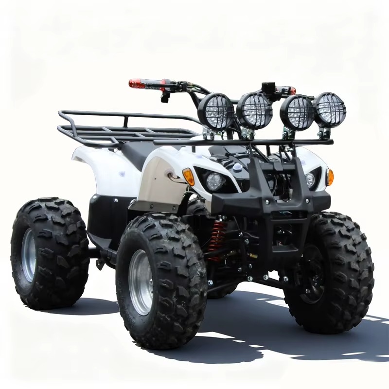 750W 48V Kids Electric ATV Qua - đánh giá và giá Kids Outdoor Electric Quad
