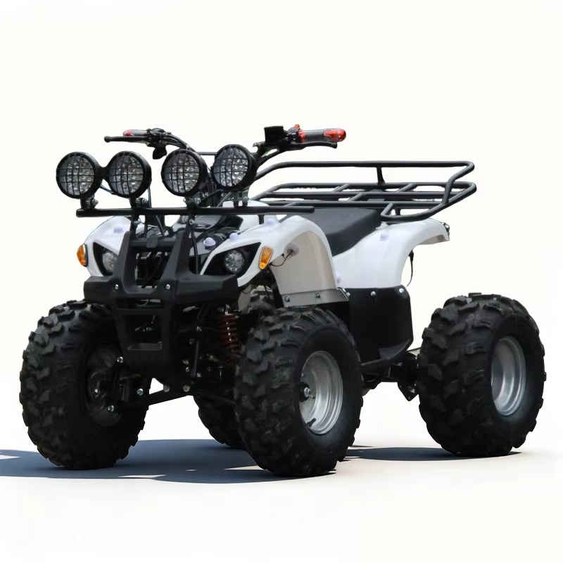 750W 48V Kids Electric ATV Qua - đánh giá và giá Kids Outdoor Electric Quad