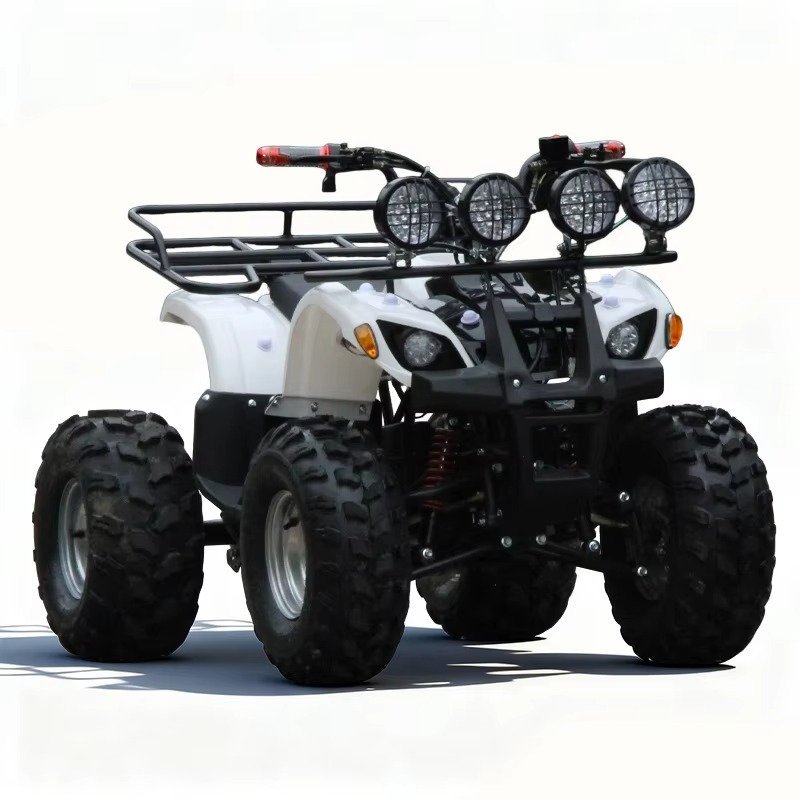 750W 48V Kids Electric ATV Qua - đánh giá và giá Kids Outdoor Electric Quad