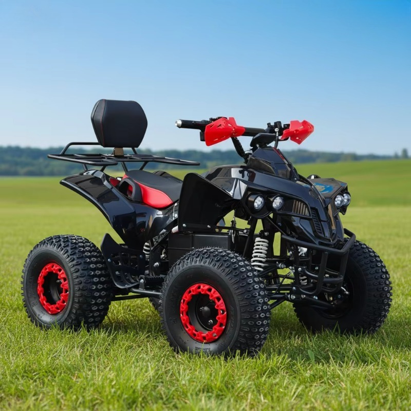 Electric Shaft Drive ATV Quad  - đánh giá và giá Kids Outdoor Electric Quad