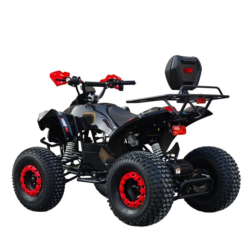 Electric Shaft Drive ATV Quad  - đánh giá và giá Kids Outdoor Electric Quad