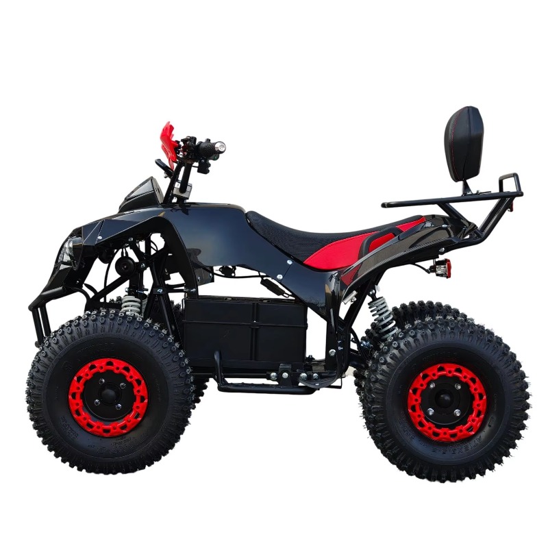 Electric Shaft Drive ATV Quad  - đánh giá và giá Kids Outdoor Electric Quad