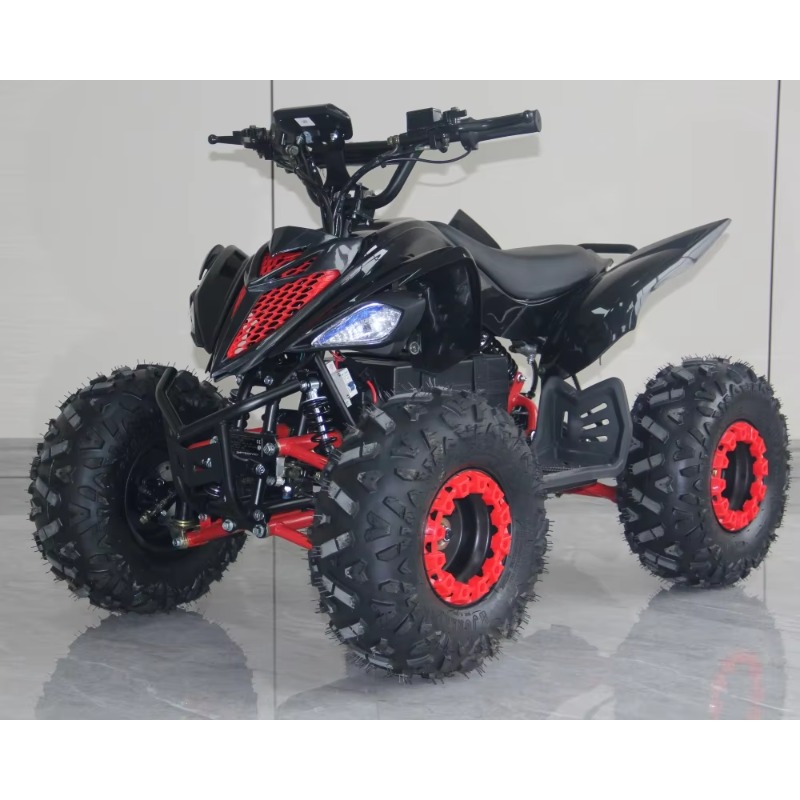 48V 1000W Electric Kids ATV 4  - đánh giá và giá Kids Outdoor Electric Quad