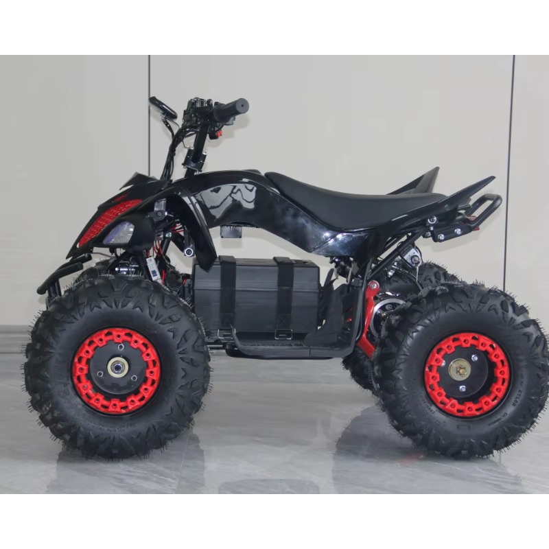 48V 1000W Electric Kids ATV 4  - đánh giá và giá Kids Outdoor Electric Quad