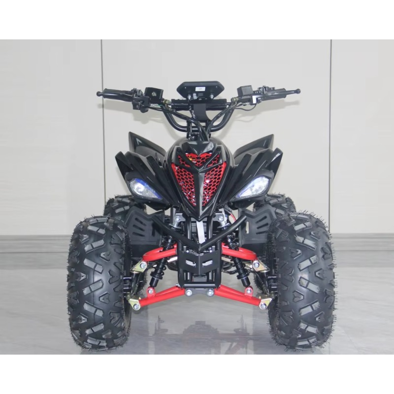 48V 1000W Electric Kids ATV 4  - đánh giá và giá Kids Outdoor Electric Quad