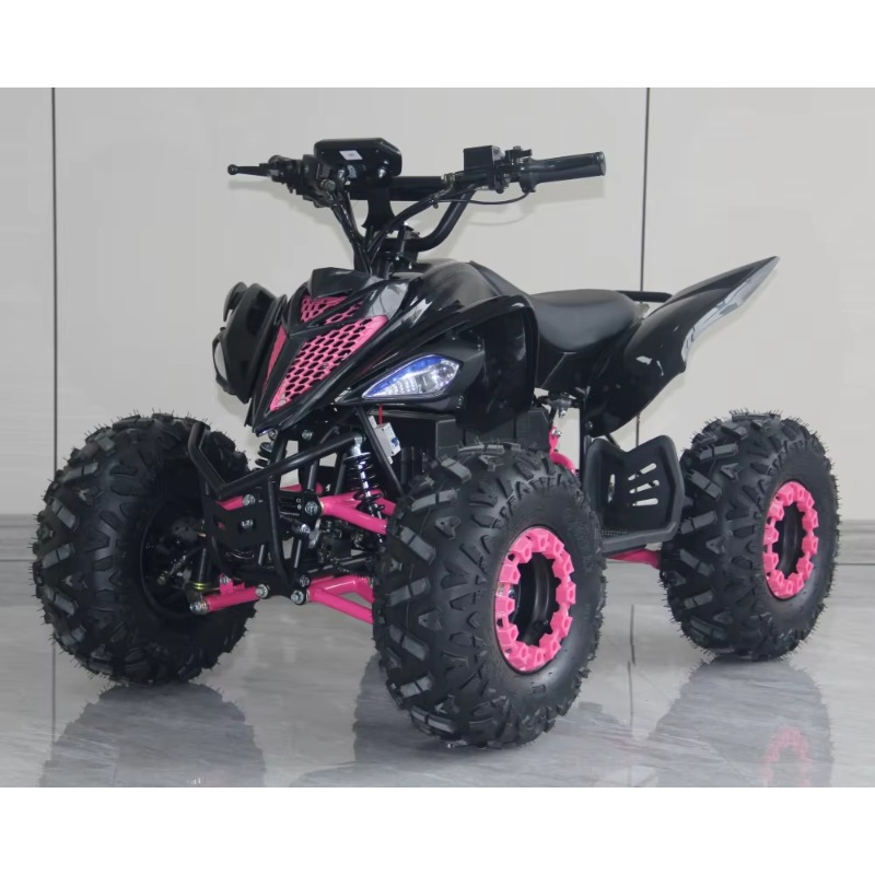 48V 1000W Electric Kids ATV 4  - đánh giá và giá Kids Outdoor Electric Quad